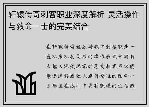 轩辕传奇刺客职业深度解析 灵活操作与致命一击的完美结合
